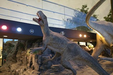 福井県立恐竜博物館に投稿された画像（2024/6/21）
