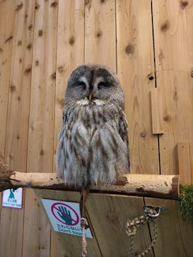 伊豆シャボテン動物公園に投稿された画像（2024/6/21）