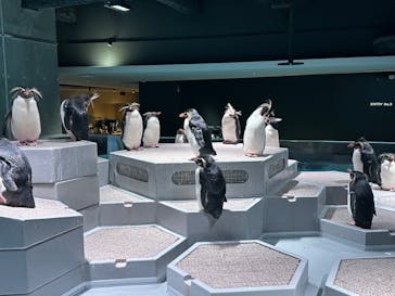 AOAO SAPPOROに投稿された画像（2024/6/21）