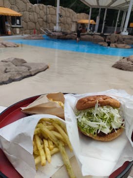 志摩市浜島磯体験施設 海ほおずきに投稿された画像（2024/6/21）