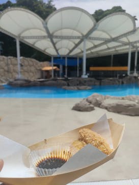 志摩市浜島磯体験施設 海ほおずきに投稿された画像（2024/6/21）