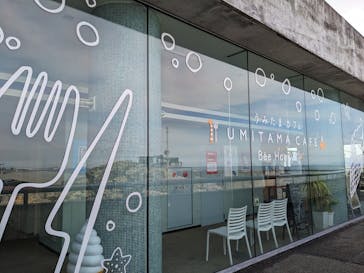 大分マリーンパレス水族館 「うみたまご」に投稿された画像（2024/6/22）