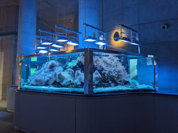 大分マリーンパレス水族館 「うみたまご」に投稿された画像（2024/6/22）