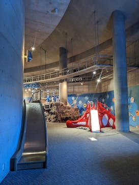 大分マリーンパレス水族館 「うみたまご」に投稿された画像（2024/6/22）