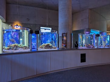 大分マリーンパレス水族館 「うみたまご」に投稿された画像（2024/6/22）