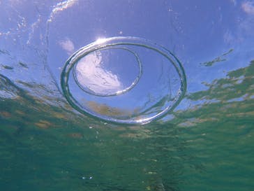 ダイビングショップ　ハイビスカスに投稿された画像（2024/6/22）