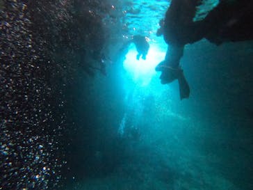 ダイビングショップ　ハイビスカスに投稿された画像（2024/6/22）