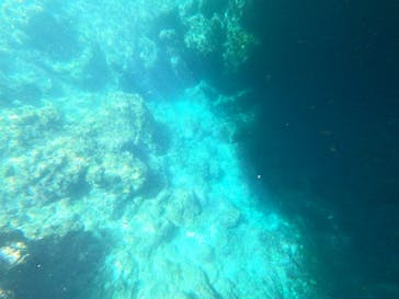 ダイビングショップ　ハイビスカスに投稿された画像（2024/6/22）