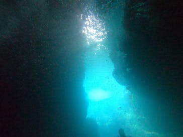 ダイビングショップ　ハイビスカスに投稿された画像（2024/6/22）