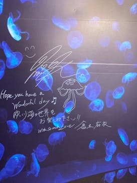 サンシャイン水族館に投稿された画像（2024/6/22）