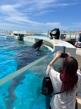 鴨川シーワールドに投稿された画像（2024/6/22）