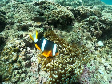 武藤潜水に投稿された画像（2024/6/22）