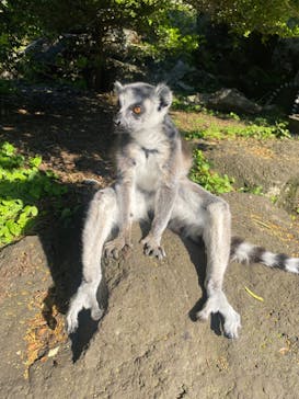 伊豆シャボテン動物公園に投稿された画像（2024/6/22）