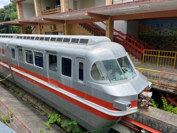 日本モンキーパークに投稿された画像（2024/6/22）