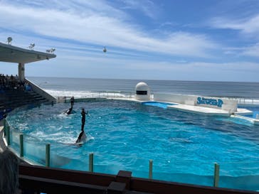 鴨川シーワールドに投稿された画像（2024/6/22）