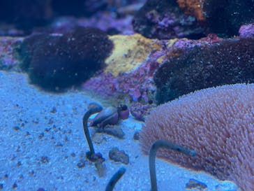 サンシャイン水族館に投稿された画像（2024/6/22）