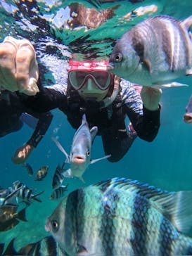 沖縄マリンサービス碧に投稿された画像（2024/6/22）