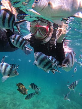 沖縄マリンサービス碧に投稿された画像（2024/6/22）