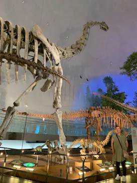 福井県立恐竜博物館に投稿された画像（2024/6/22）