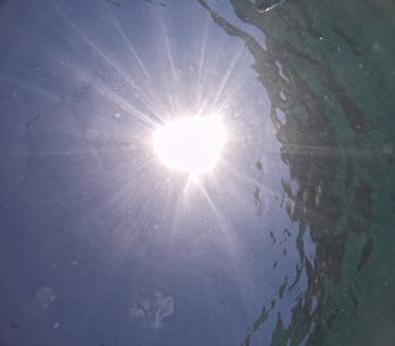 沖縄マリンサービス碧に投稿された画像（2024/6/22）