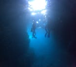 沖縄マリンサービス碧に投稿された画像（2024/6/22）