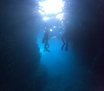 沖縄マリンサービス碧に投稿された画像（2024/6/22）