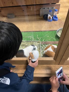 ゼロ距離水族館 伊勢シーパラダイスに投稿された画像（2024/6/22）
