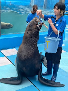 ゼロ距離水族館 伊勢シーパラダイスに投稿された画像（2024/6/22）