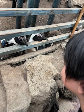 ゼロ距離水族館 伊勢シーパラダイスに投稿された画像（2024/6/22）