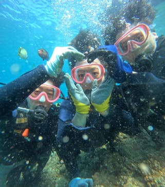 武藤潜水に投稿された画像（2024/6/22）