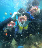 武藤潜水に投稿された画像（2024/6/22）