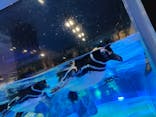 すみだ水族館に投稿された画像（2024/6/22）