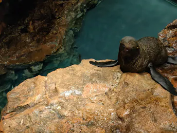 すみだ水族館に投稿された画像（2024/6/22）