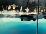 名古屋港水族館に投稿された画像（2024/6/22）