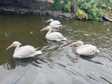 神戸どうぶつ王国に投稿された画像（2024/6/22）