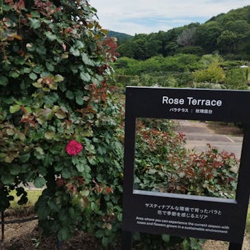 いばらきフラワーパークに投稿された画像（2024/6/22）