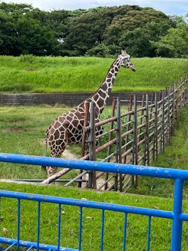 千葉市動物公園に投稿された画像（2024/6/22）