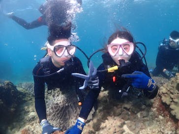 ダイブロックに投稿された画像（2024/6/22）