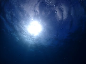 ダイブロックに投稿された画像（2024/6/22）