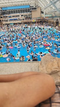 東京サマーランドに投稿された画像（2024/6/22）