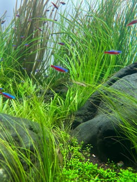 AOAO SAPPOROに投稿された画像（2024/6/22）