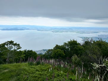 びわ湖バレイに投稿された画像（2024/6/22）