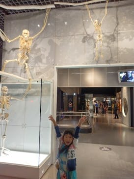 国立科学博物館に投稿された画像（2024/6/22）