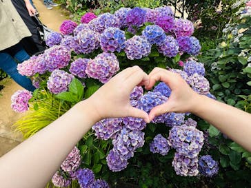 横浜イングリッシュガーデンに投稿された画像（2024/6/22）