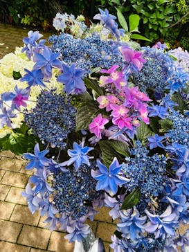 横浜イングリッシュガーデンに投稿された画像（2024/6/22）