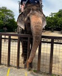 那須サファリパークに投稿された画像（2024/6/22）