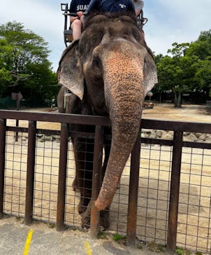 那須サファリパークに投稿された画像（2024/6/22）