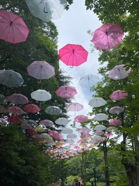 ムーミンバレーパークに投稿された画像（2024/6/22）