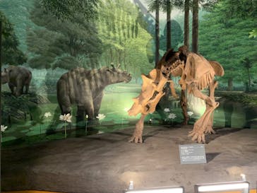 福井県立恐竜博物館に投稿された画像（2024/6/22）