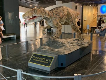 福井県立恐竜博物館に投稿された画像（2024/6/22）